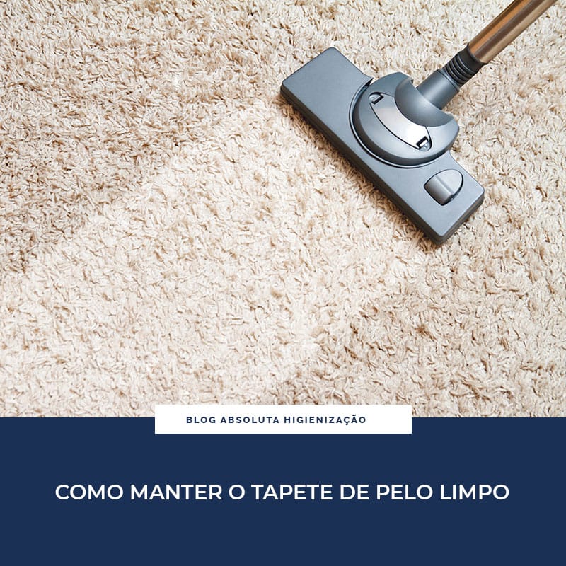 Como Manter o Tapete de Pelo Limpo