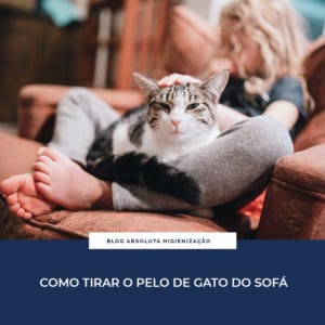 Como Tirar o Pelo de Gato do Sofá