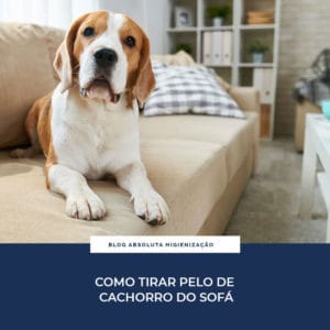 Como Tirar Pelo de Cachorro do Sofá