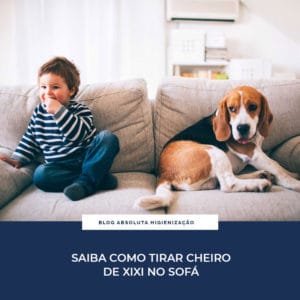 Como Tirar Cheiro de Xixi no Sofá