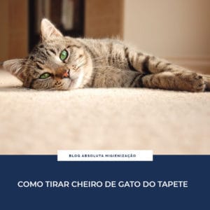 Como Tirar Cheiro de Gato do Tapete