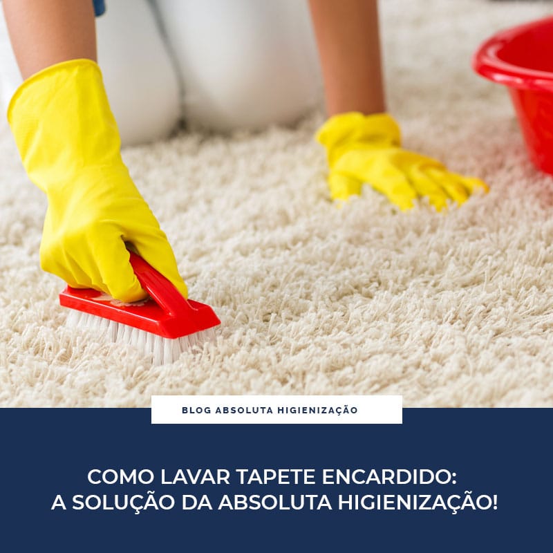 Como Lavar Tapete Encardido a Solução da Absoluta Higienização