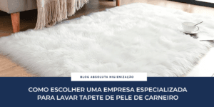 Como escolher uma empresa especializada para lavar tapete de pele de carneiro?