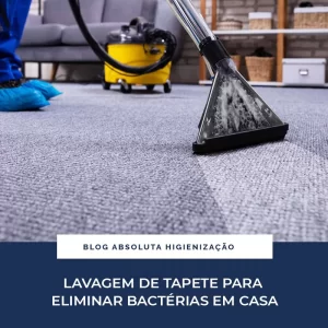 Lavagem de Tapete Para Eliminar as Bactérias em Casa