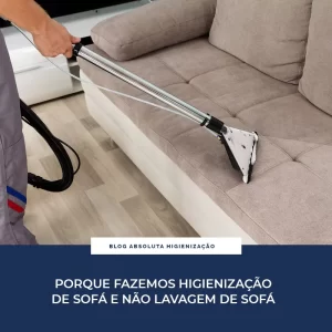 Por que Fazemos Higienização de Sofá e não Lavagem de Sofá?